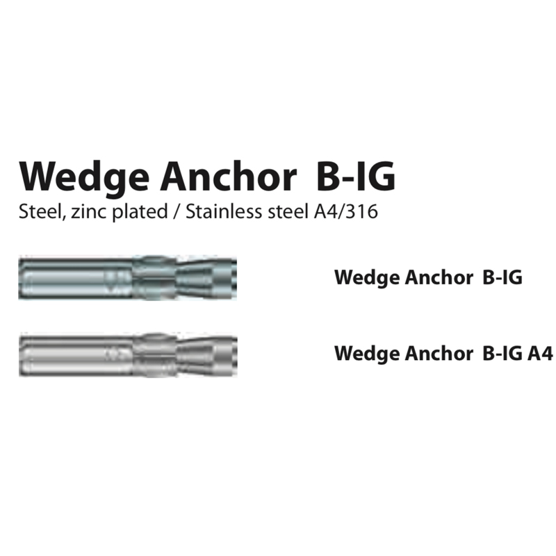 Wedge Anchor B-IG - Techno Builders Group